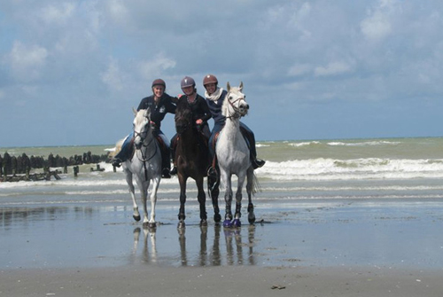 promenade à cheval