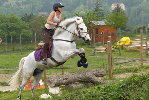 cours d'équitation