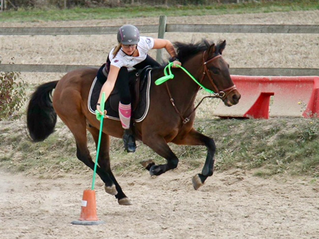 cours d'équitation